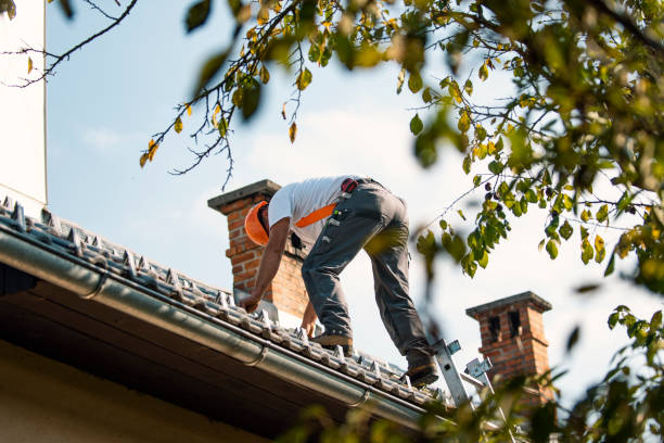 Best New Roof Installation  in Miami Heights, OH